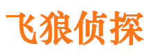 洛隆调查事务所